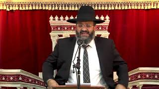 הקבה שמח בלימוד התורה | שיחת השבוע | הרב מיכאל מזוז