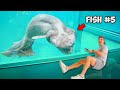 I Bought The 6 Strangest Fish You Should Never Buy Off The Internet