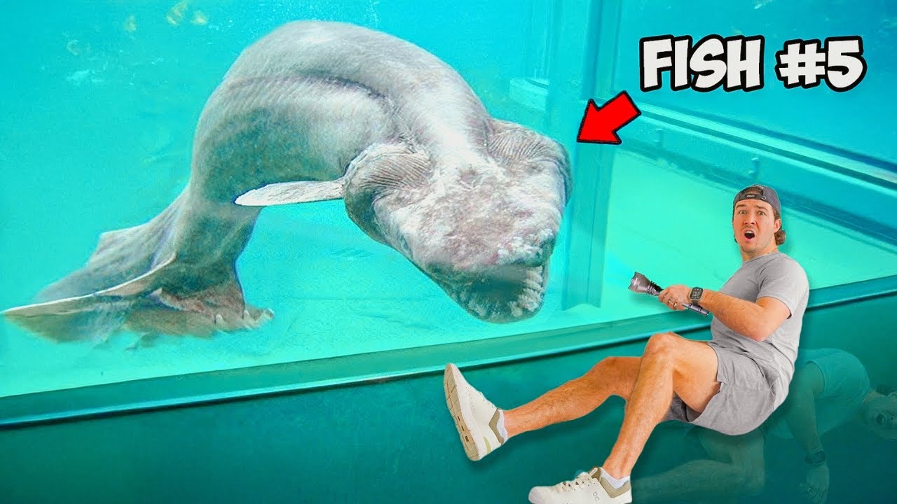 I Bought the 6 Strangest Fish You Should Never Buy Off The Internet…