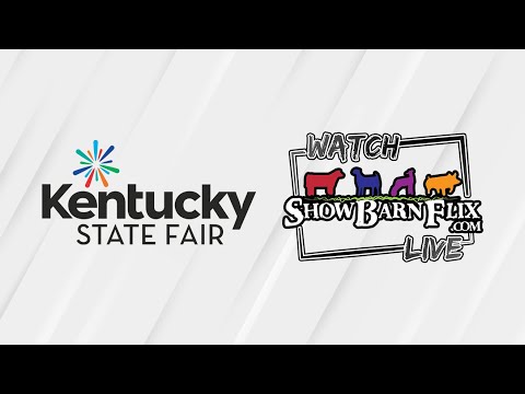 Open Ayrshire Show - Kentucky State Fair 2024