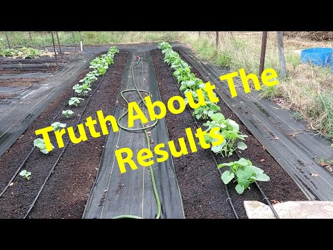 Electroculture Part 3 - The Truth Or Not