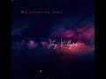 Jay Willynn Ain T No Shooting Star