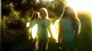 Feathers - Weird Summer