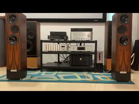 Linn Ikemi +Mark 36+Naim xs2 +Living Voice