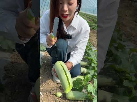 Beautiful Nature with Rural Life #1477