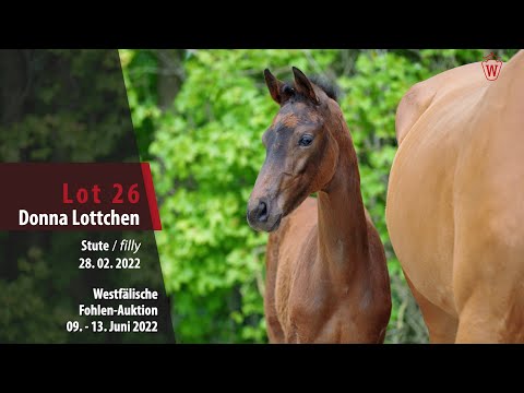 Fohlen-Auktion Lot 26 Donna Lottchen Stute v. Don VHP Z - Cornet Obolensky
