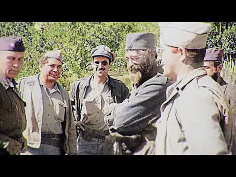 Halyard Mission Heroes: Nick Lalich / Heroji Halijarda: Nik Lalić