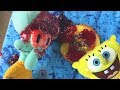 Spongebob Squarepants Cookie Commercial