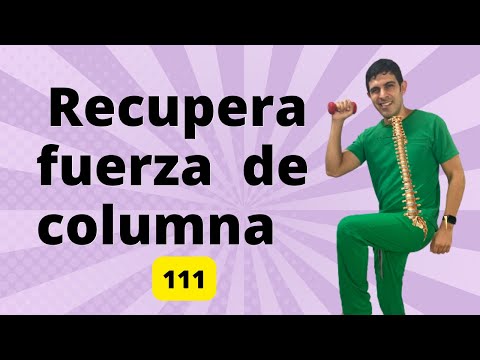 Ejercicios De Fisioterapia Para Recuperar La Fuerza En La Columna