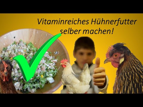 Vitaminreiches Hühnerfutter für den Winter selber machen! So bleiben deine Hühner gesund!