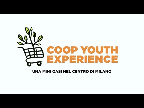 Anteprima video