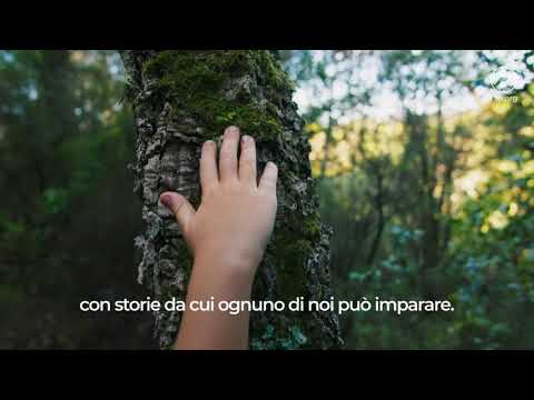 Global Library of Trees and Flowers - FAO Park