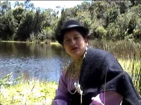 Los Zhunaulas - Muriendo de amor (Corazón de piedra) Video Oficial