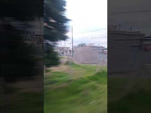 formación ferroviaria se aleja del atardecer que está por dominar cañuelas #train #railway #trenroca