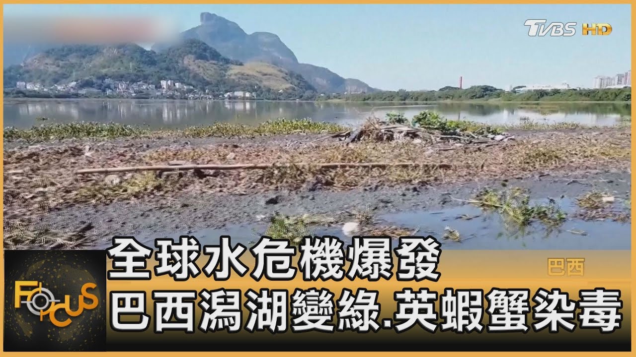 全球水危機爆發 巴西潟湖變綠.英蝦蟹染毒