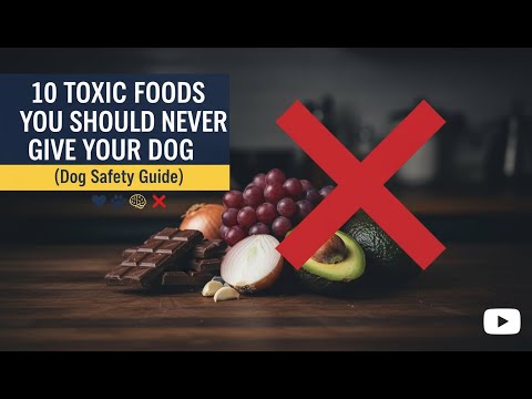 10 Toxic Foods You Should Never Give Your Dog (Dog Safety Guide)