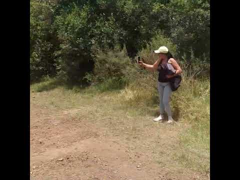 2da trilha departamento de cerro largo , municipio de Arbolito . Uruguay