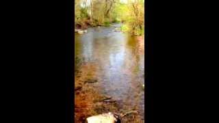 preview picture of video 'Fishing Creek in Valley Green, Central Pennsylvania'