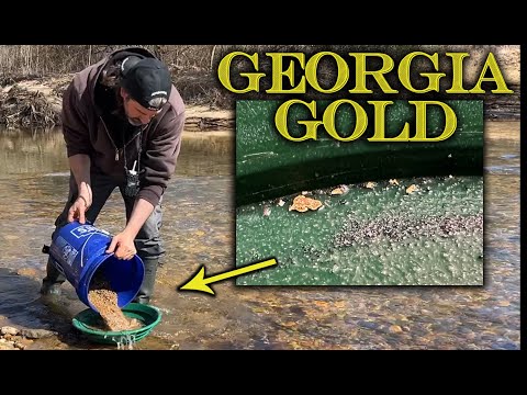 Gold Mining at Loud Mine LDMA Camp in Georgia