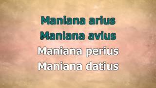 Cantus iteratus (soprano)