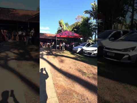 CASAMENTO MINHA IRMA ROSA EM MINAS GERAIS #reels #minasgerais #casamentos #casamento #andrelandia