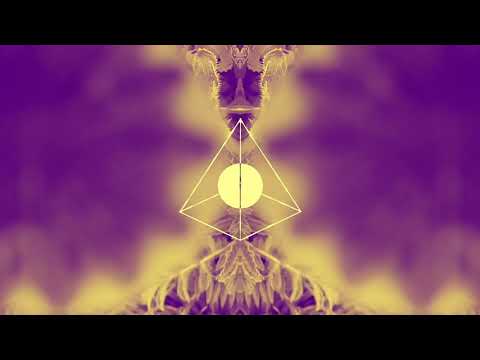 Episode IX: Curated By Jonas Rathsman