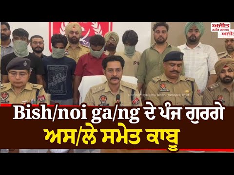 Bish/noi ga/ng ਦੇ ਪੰਜ ਗੁਰਗੇ ਅਸ/ਲੇ ਸਮੇਤ ਕਾਬੂ