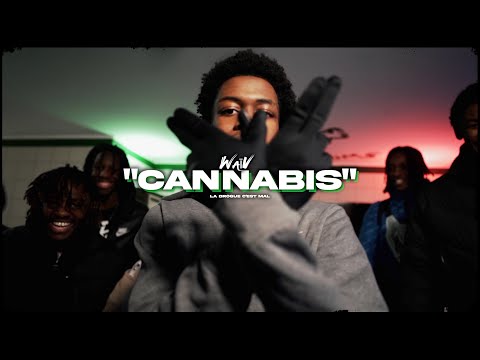 WaïV - Cannabis (Clip officiel)