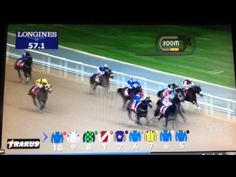 2015 北風錦標 2015 Emirates Skywards Mahab Al Shimaal G3