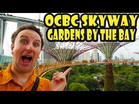 Gardens by the Bay - OCBC Skyway - Singapore