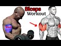 Ultimate Biceps Workout For Bigger Arms Build Muscle Fast At Home Or Gym