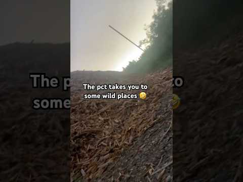 The Pacific Crest Trail is wild 🤣