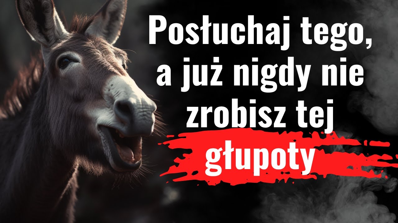 Kiedy ignorancja krzyczy, inteligencja milczy. Co zrobił lew, gdy osioł zapytał go o… (MĄDRE)