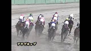 20030502　名古屋競馬のアラブ最後の大物　キジョージャンボ