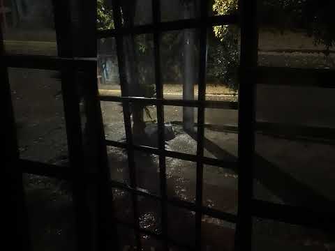 Lluvia en Las Heras, Mendoza 03/04/2026 23:27 hs #otoño