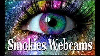Gatlinburg TN, Live Webcams to See the Smoky Mountains From Anywhere in the World - Links Below