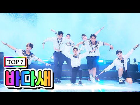 【클린버전】 TOP 7 - 바다새 💙사랑의 콜센타 프리미엄💙 (임영웅, 영탁, 이찬원, 김호중, 정동원, 장민호, 김희재)