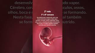 PRIMEIRO TRIMESTRE DA GRAVIDEZ | Grão de Gente #1trimestre #gravidez #gravida #maternidade