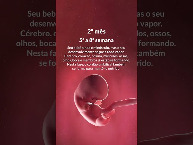 PRIMEIRO TRIMESTRE DA GRAVIDEZ | Grão de Gente #1trimestre #gravidez #gravida #maternidade