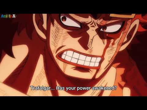 Awakened Kid and law beats Big Mom |  One Piece Wano Fights