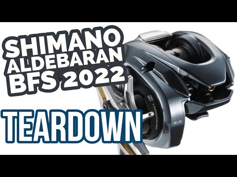 Shimano ALDEBARAN BFS 2022 Teardown
