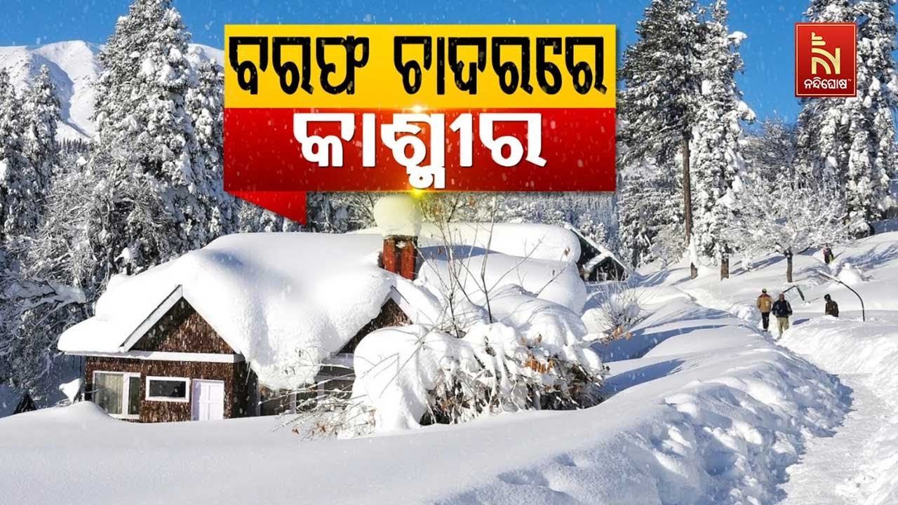 🔴 Live | ବରଫ ଚାଦରରେ କାଶ୍ମୀର | Snowfall Covers Kashmir | Valley Turns White and Magical | Odia News