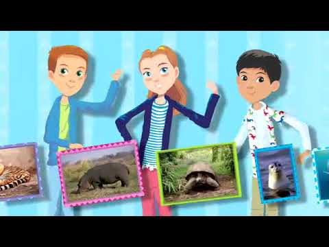 Learn English through songs: Animals in Danger