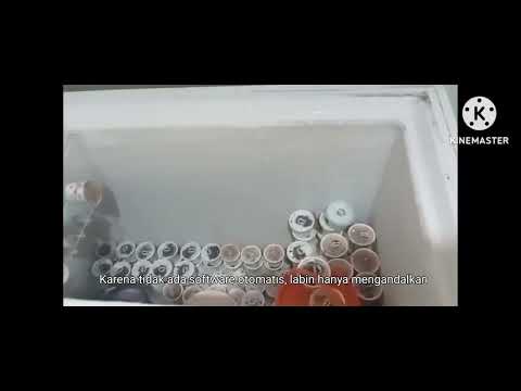 Membongkar struktur, data dan sistem informasi labib ice cream 