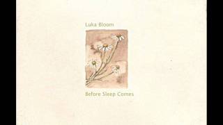 LUKA BLOOM THE WATER IS WIDE