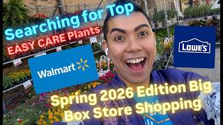 Big Box Store Plants Spring 2026 Edition Top Easy Care Plants On a Budget Walmart and Lowe's Finds