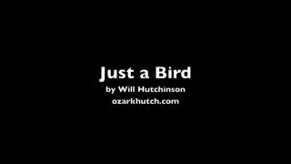 Just a Bird by Will Hutchinson ozarkhutch.com