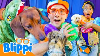 Blippi’s Jurassic Puppy Show! 🦖🐶