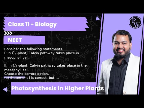 YouTube video about: Which of the following statements about plants is false?