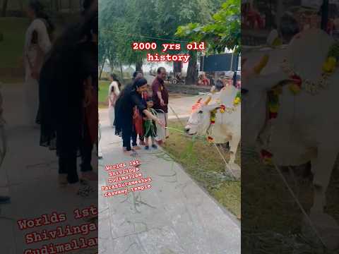 worlds oldest Shivlinga / 2000 yrs old / Gudimallam Parasurameshwaraswamy temple / Near Thirupati